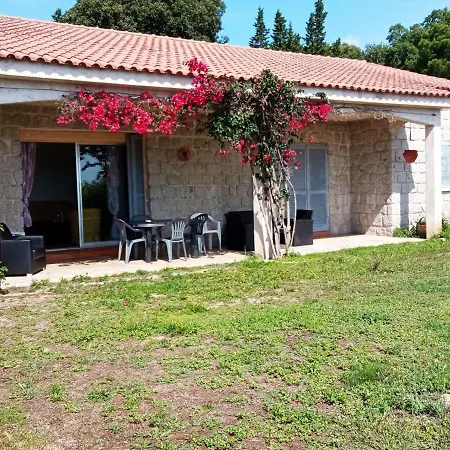 Semesterbostad Luxueuse 3 Avec Jardin, Terrasse Et Barbecue - A Proximite De Porto-vecchio Et Plages - Fr-1-62-150 Porto-Vecchio (Corsica)
